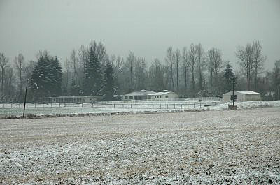 Winter at Charlton Kennels