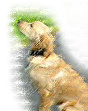 Sit