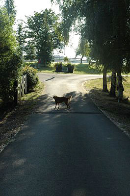 driveway