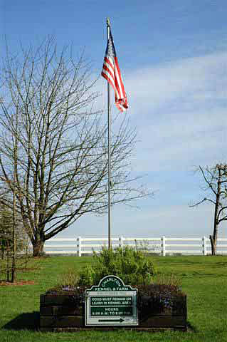 the flagpole