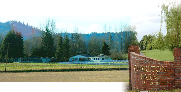 Charlton Kennels