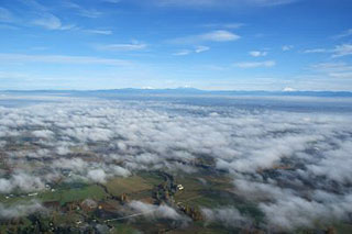 Sauvie Aerial