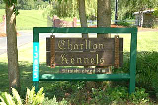 the sign