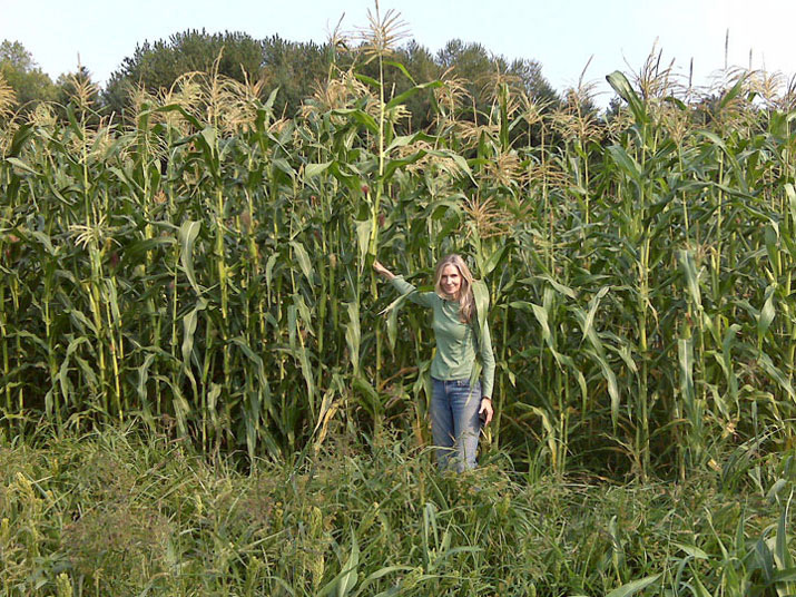 Kelly in cornfield