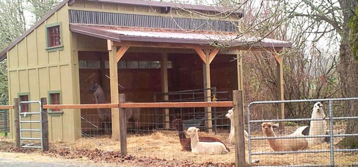 llama shed