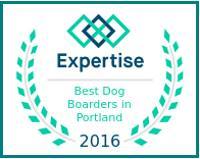 Expertise Badge