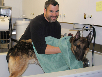 Dan washing dog
