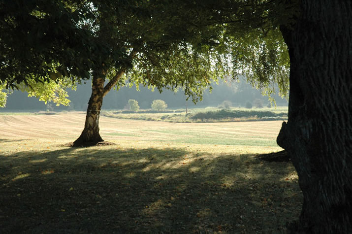 farm landscape