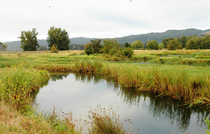 water landscape