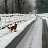 Charlton Farm driveway in winter