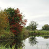 The farm lake hosts thousands of waterfowl, red wing blackbirds, heron, egrets and many more varieties of birds.  There are big mouth bass, crappie, sun-fish, as well as trout in the spring fed lake.